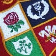 British and Irish Lions Badge